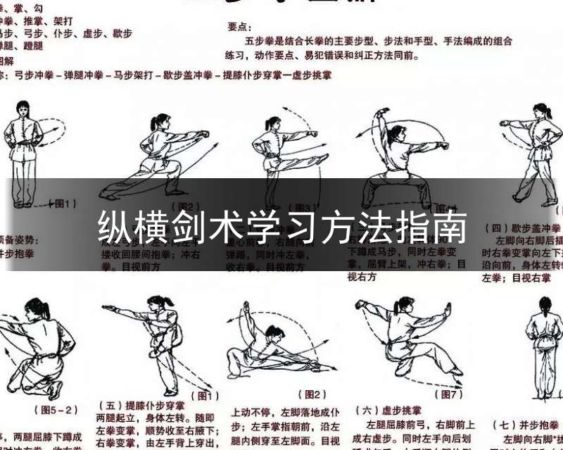 纵横剑术学习方法指南