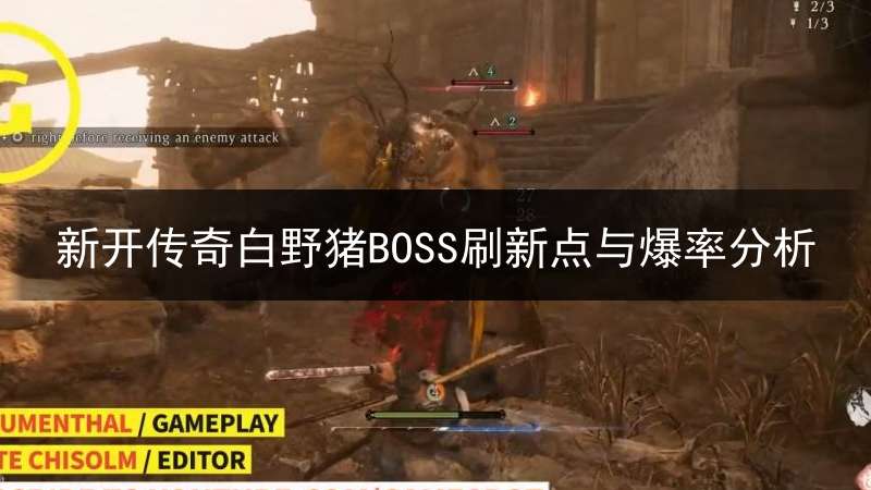 新开传奇白野猪BOSS刷新点与爆率分析