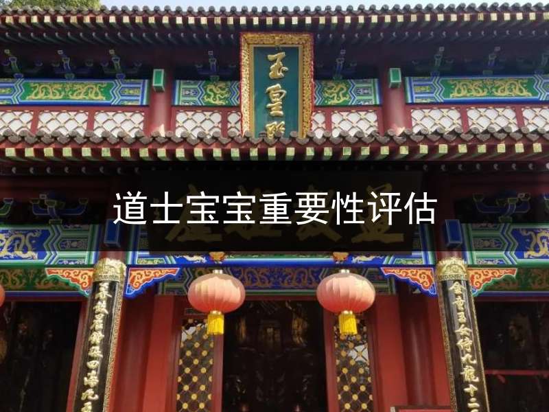 道士宝宝重要性评估